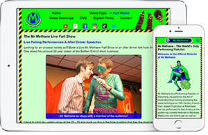 Mr Methane Website image 2
