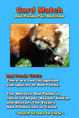 Red Pandas iPhone App image 2