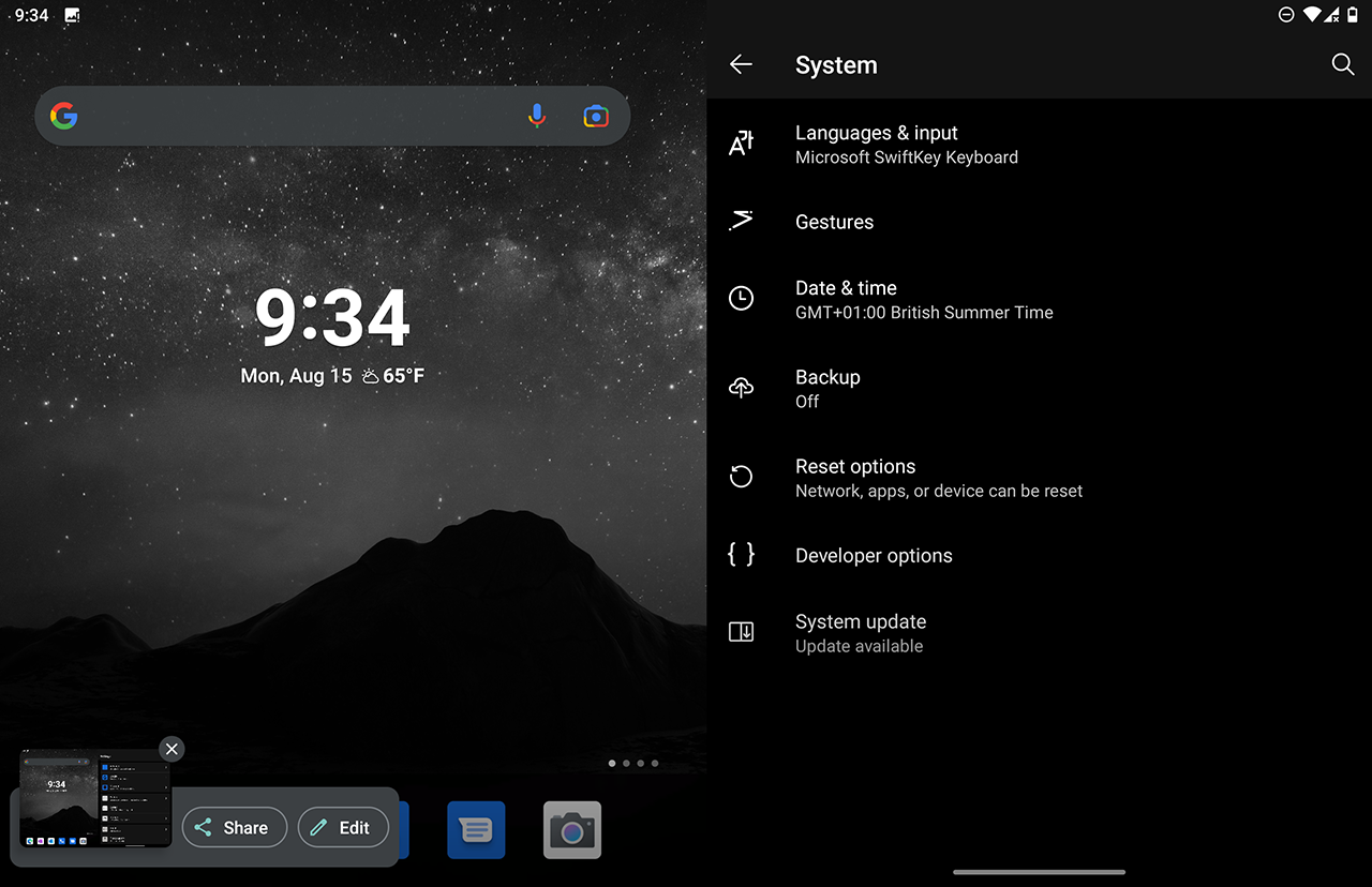 Microsoft Surface Duo - Developer options