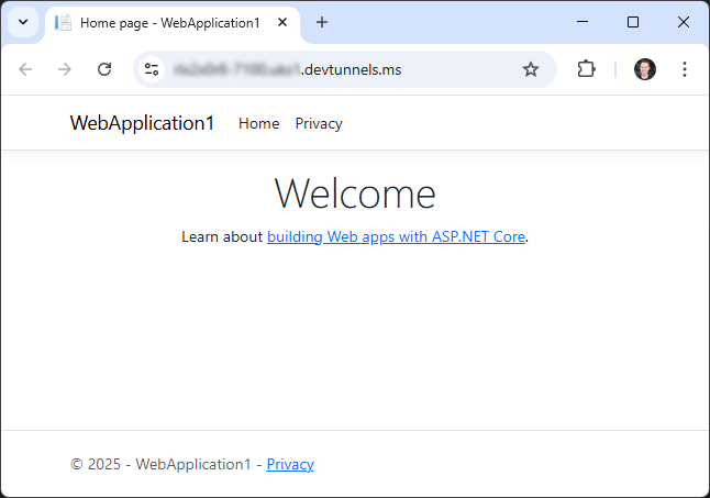 Dev Tunnels - Web Application Working