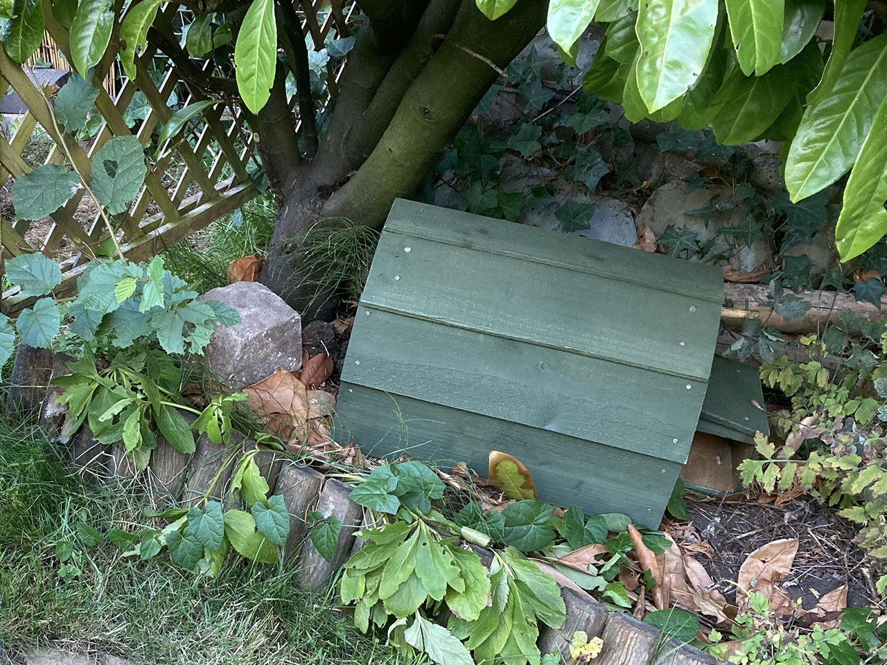 Hedgehog House